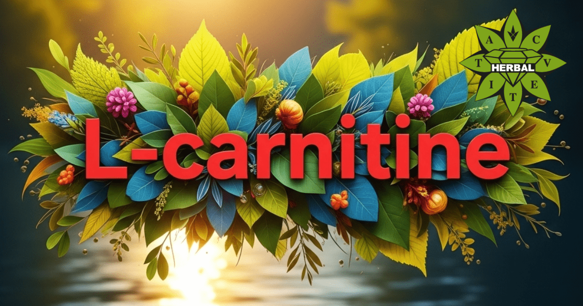 L-carnitina - Benefici e Proprietà Curative