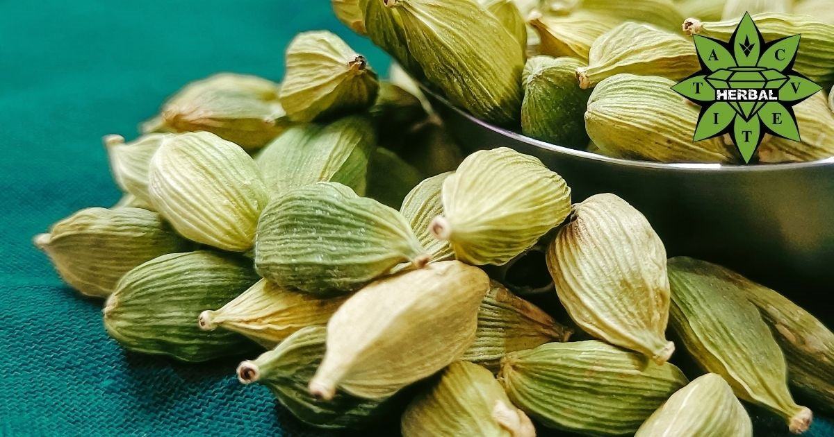 Cardamomo (Regina delle Spezie, Cardamomo) - Benefici e Proprietà Curative