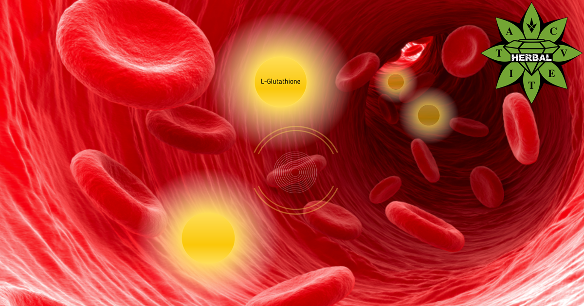 Glutatione (L-glutatione, Elisir di Giovinezza) - Benefici e Proprietà Curative