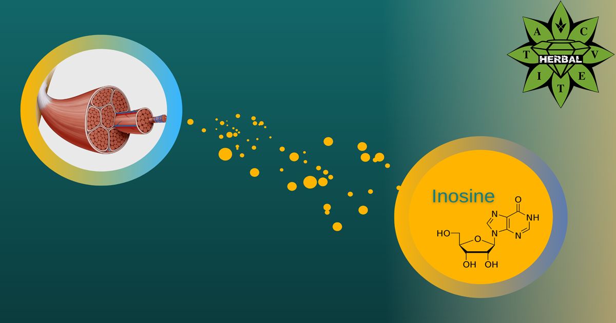 Inosina - Benefici, Azione, Effetti Collaterali