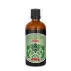 Estratto di Ginkgo Biloba – Ginkgo Biloba Max (100 ml)